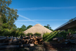 Genossenschaft Ale Papieri