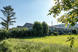 Genossenschaft Ale Papieri